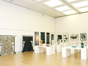 France-Japan Multinational Contemporary Art Exhibition