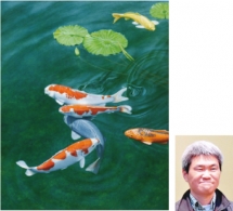 第26回パリ国際サロン　2011
大賞/ギャラリーデュマレ賞：　青山　繁