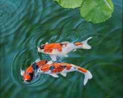 第48回コルシカ美術賞展　2016
大賞：青山　繁